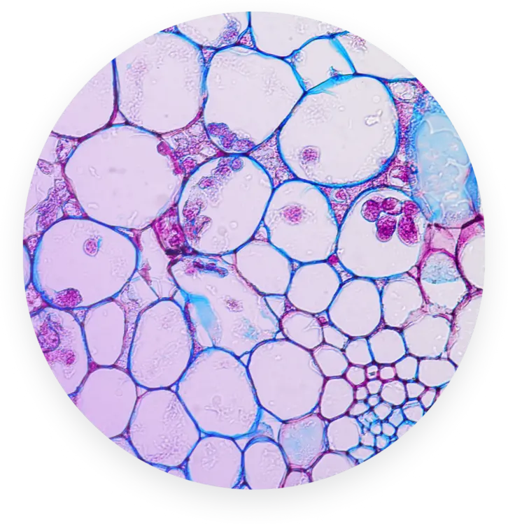 Hero applications cell biology