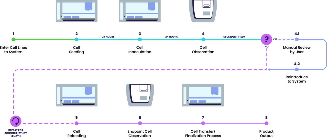 Typical cell maintenance workflow