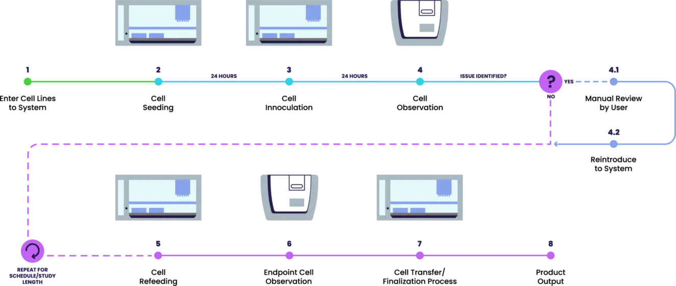 Typical cell maintenance workflow
