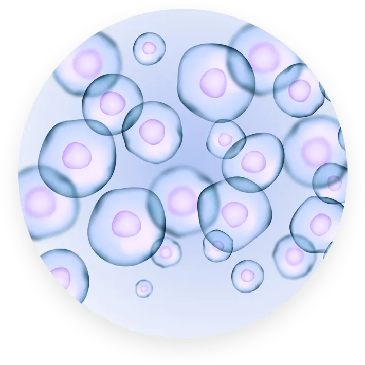 Cell maintenance
