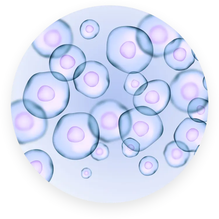 Cell maintenance