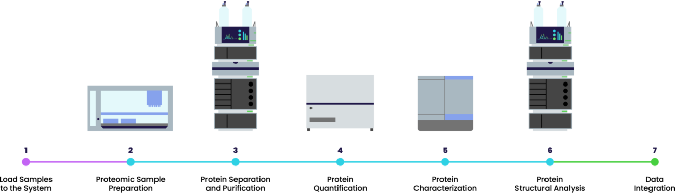 Typical protein characterization workflow