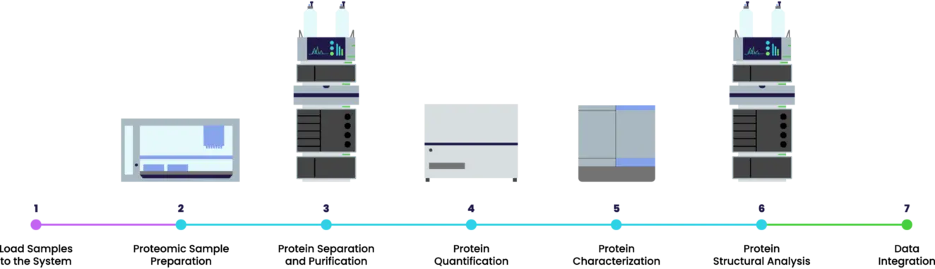 Typical protein characterization workflow